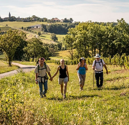 Family-friendly hikes near Gaillac
