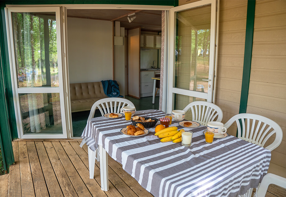 Covered terrace of the Classic bungalow to rent for 5 people, at our 4-star campsite, Le Chêne Vert. Holiday rentals near Gaillac